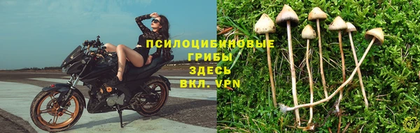 Альфа ПВП Богданович