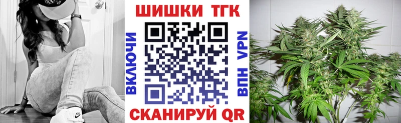 Канабис сатива Сланцы